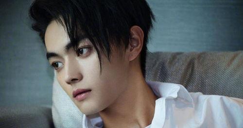 杨紫许凯最新爆料,幕后故事与情感纠葛大公开