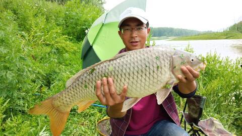 小杨哥爆料钓鱼视频,揭秘钓鱼高手绝技，视频教学让你轻松上钩！